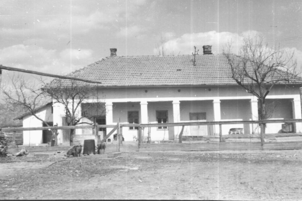 prisztóka ferenc tanító lakása az 1950-es években